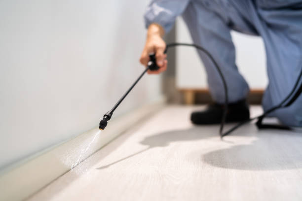 Licensed Mosquito Control service in West Point, NY - Show Me Pest Control