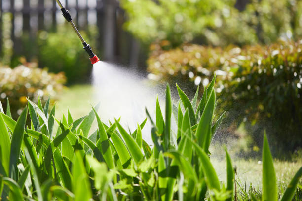 24/7 Emergency Mosquito Control experts in West Point, NY