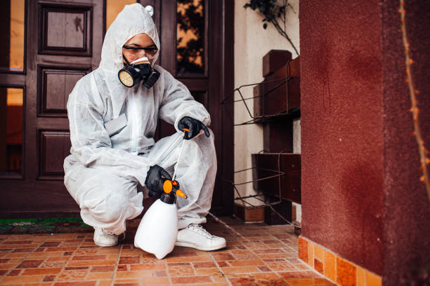 Reliable Mosquito Control contractor in West Point, NY by Show Me Pest Control